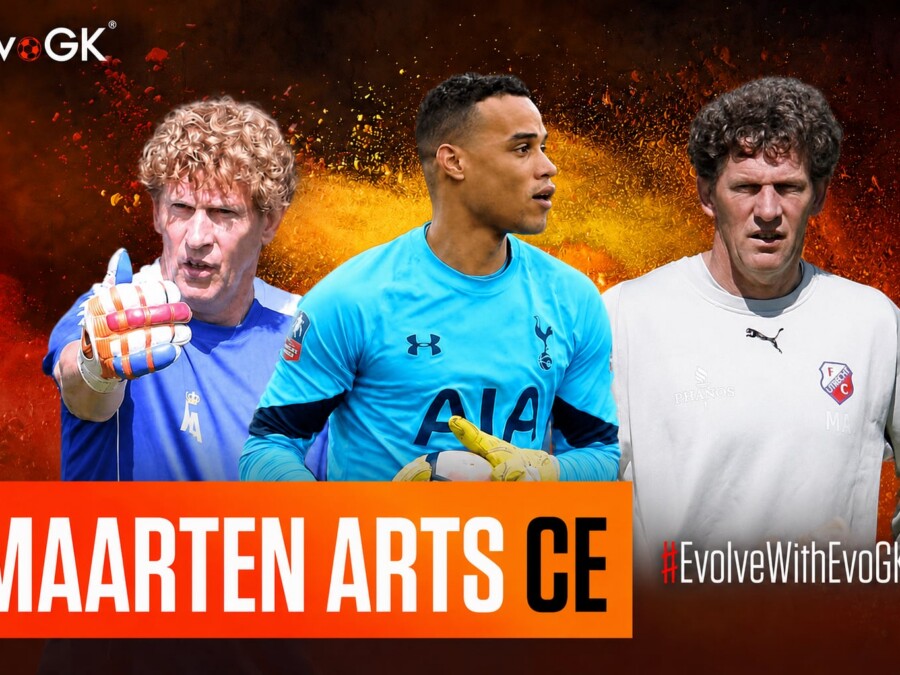 Maarten Arts Coaching Experience